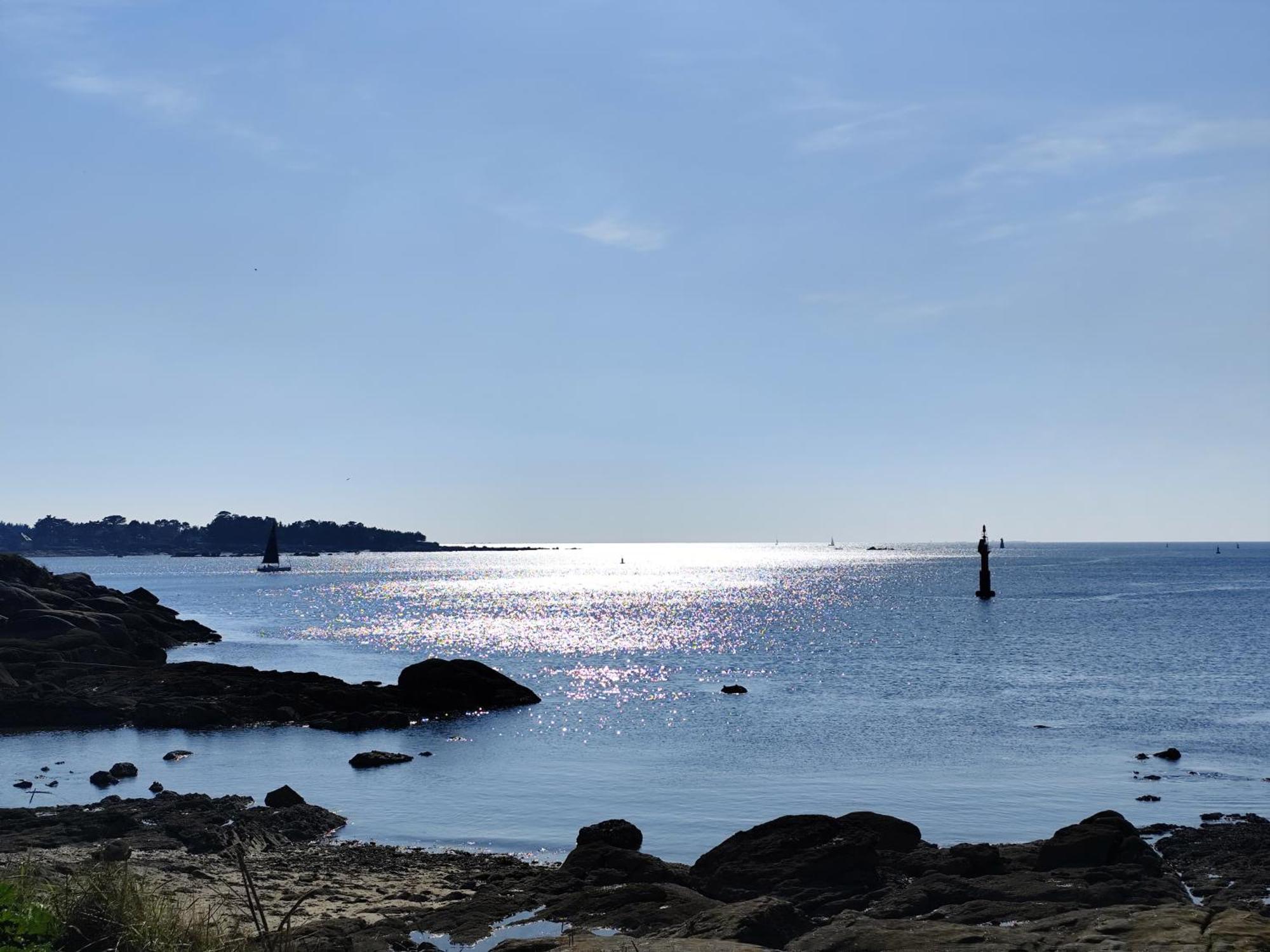 Les Reflets De Rivage Avec Garage Privatif - 350M Plage Concarneau Bagian luar foto